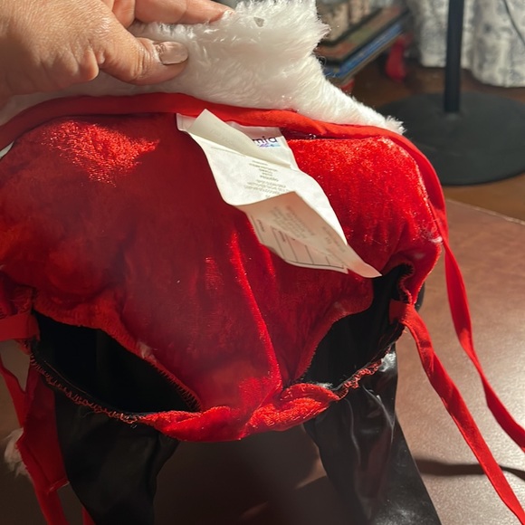 Santa Paws costume - Picture 4 of 5